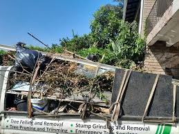 Best Yard Waste Removal  in Orangeburg, NY